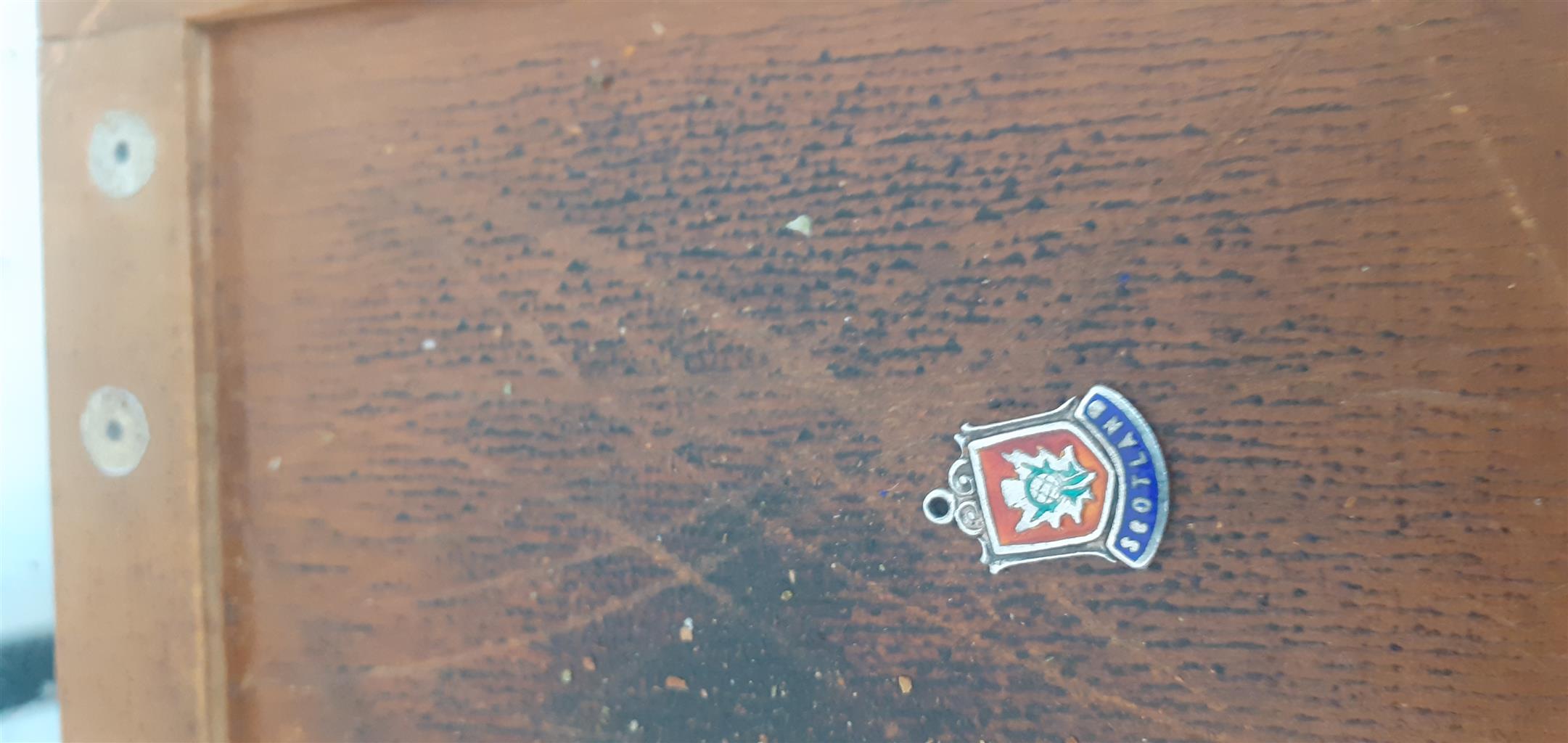 Vintage silver,enamel travel charms