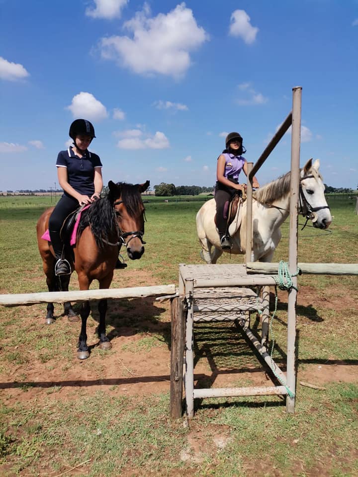 Horse Trail Riding &  Lessons
