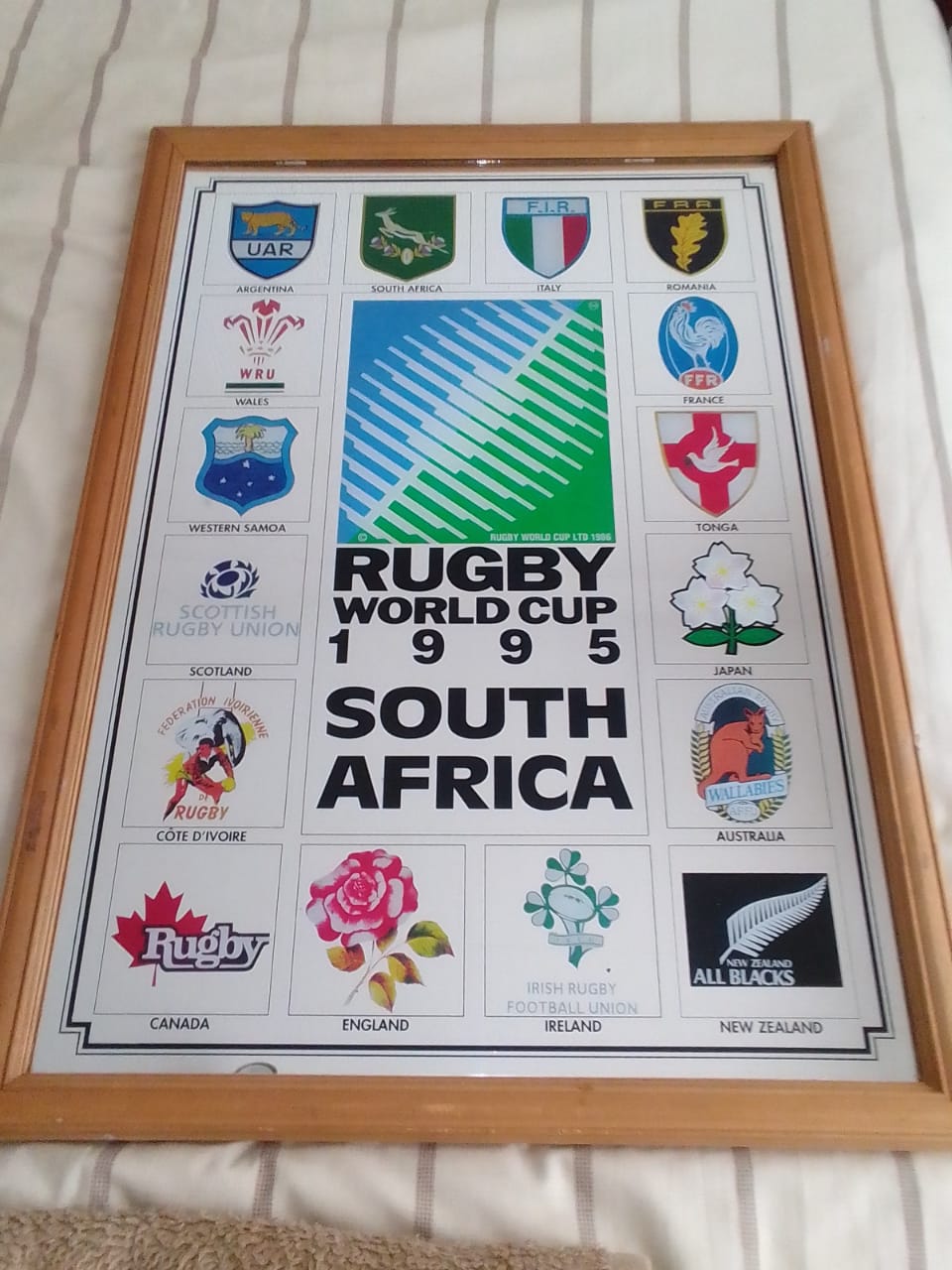 Limited Edition Original 1995 Rugby World Cup Bar Mirror 30 Year Aniversary Limited Edition Original 1995 Rugby World Cup Bar Mirror 30 Year Aniversary