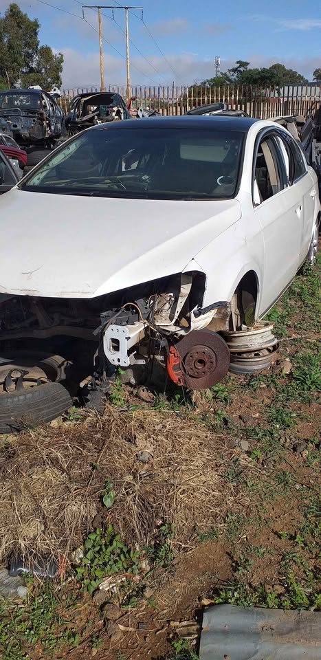 Vw Passat Stripping
