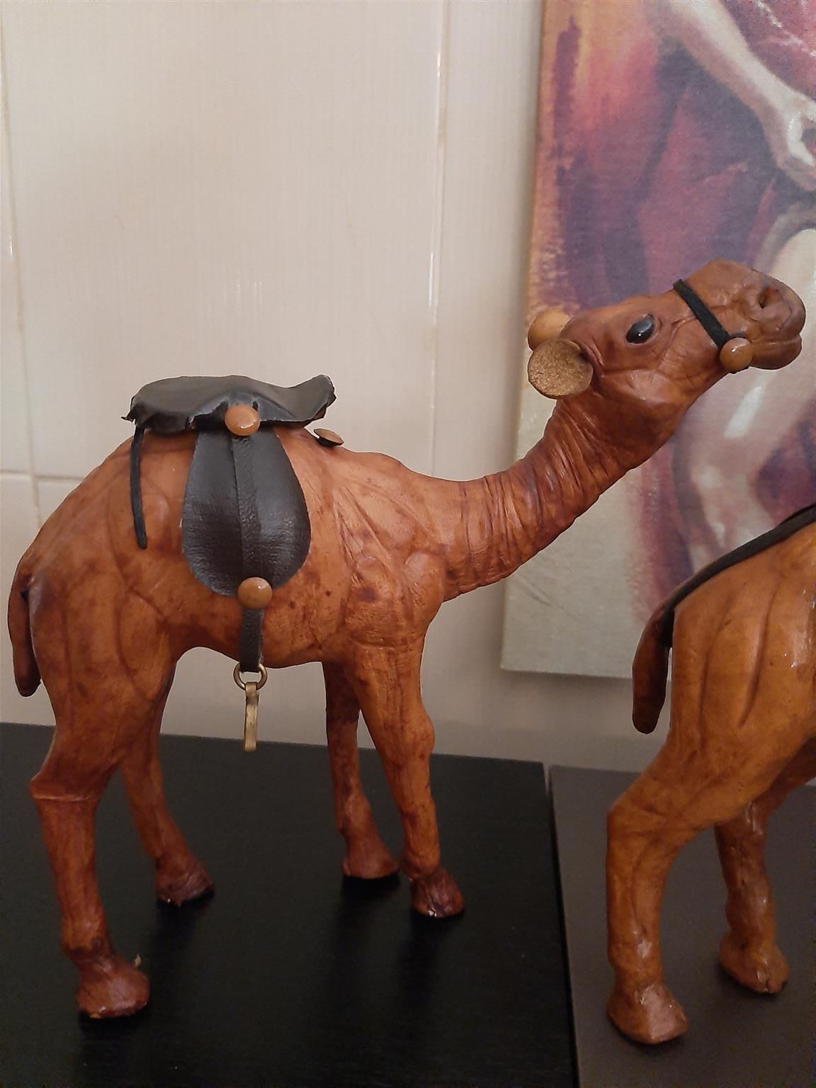 Camels - set of 3