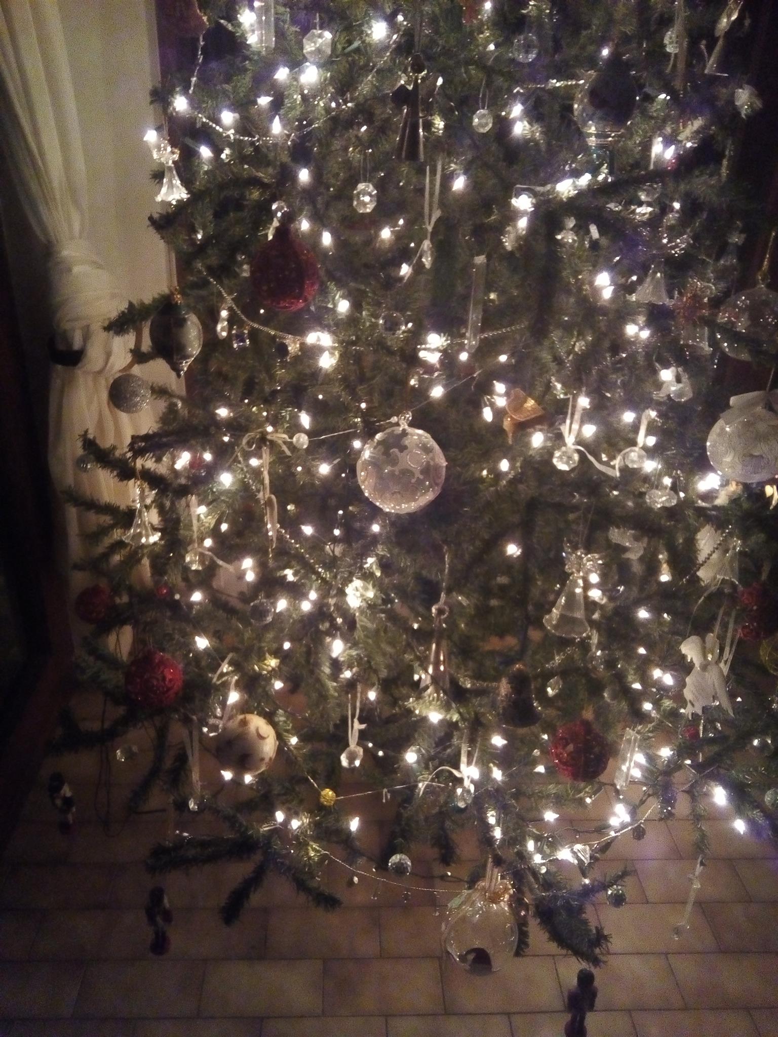 Six foot Christmas tree for sale