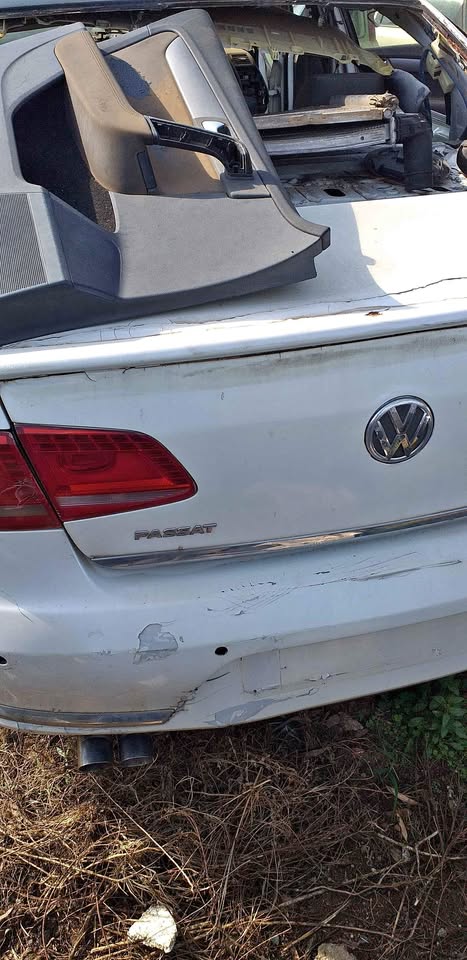 Vw Passat Stripping