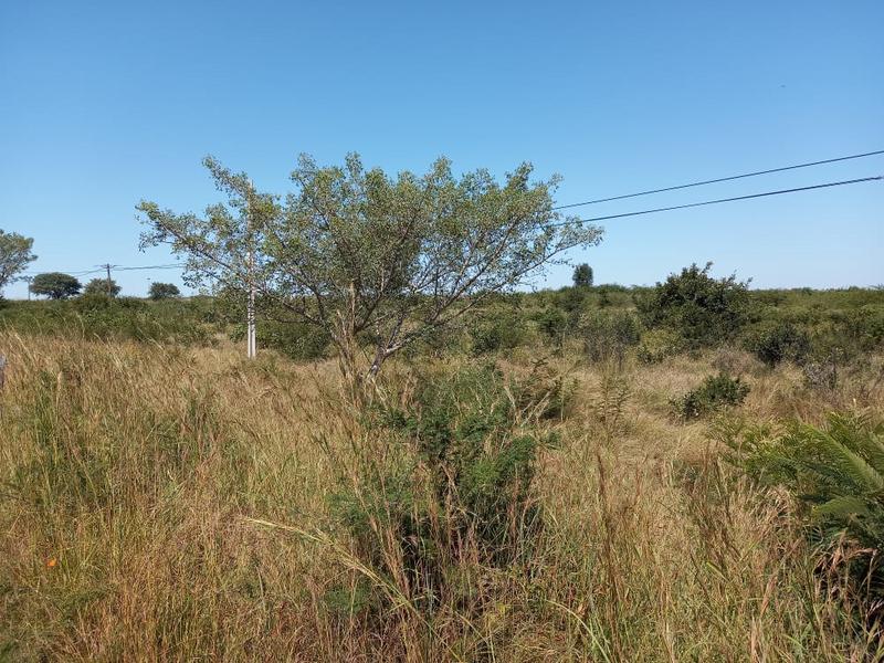Commercial Land for sale in Limpopo Province- Mavambe