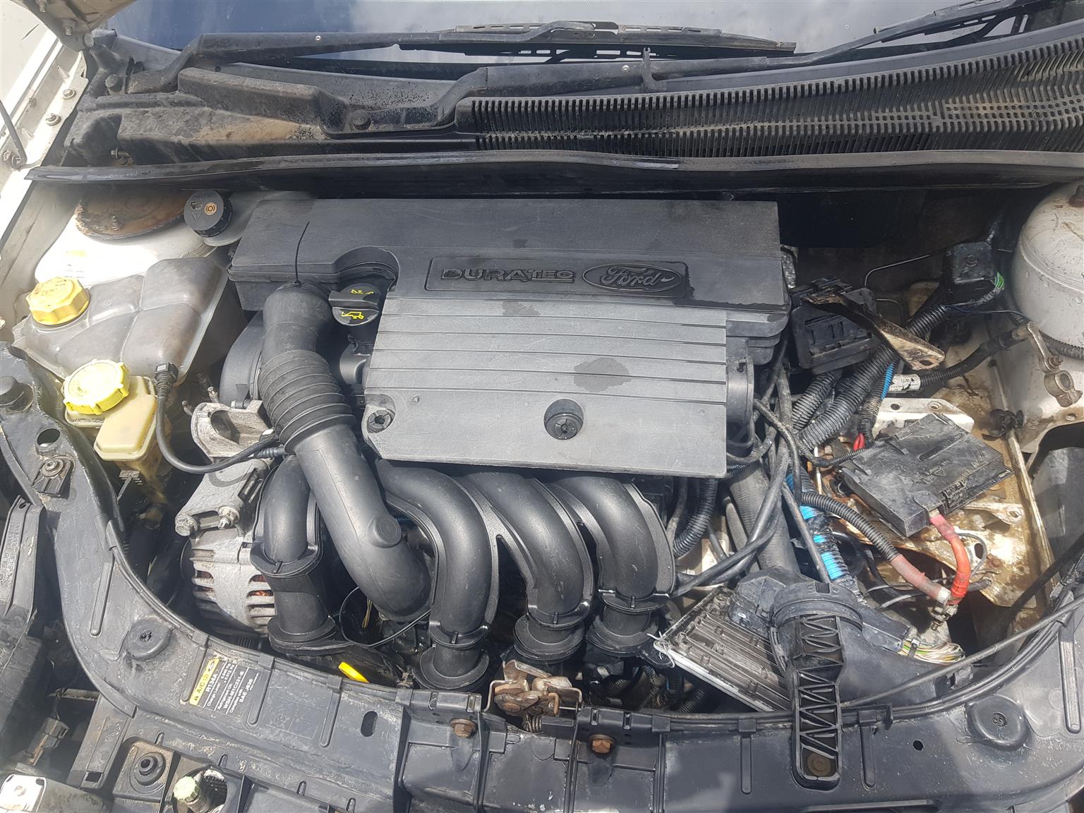 ford ikon 2008 1.4 complete car stripping - Private Seller ford ikon 2008 1.4 complete car stripping - Private Seller
