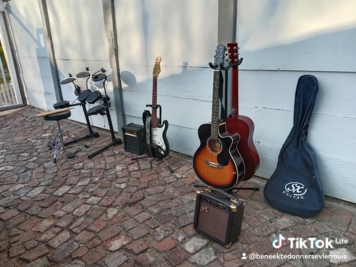 Junk Model Stringed Instrument Musical Instruments | Junk Mail Marketplace