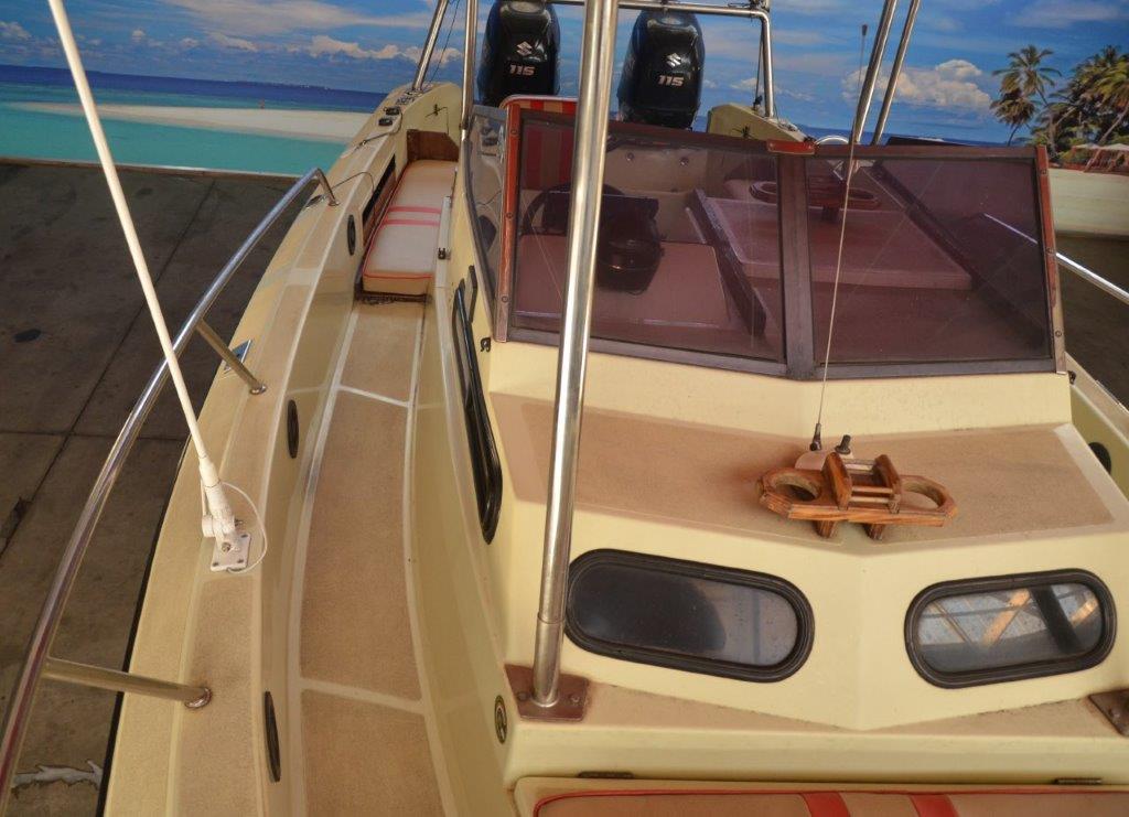 ACECRAFT 660 ON TRAILER 2 X 115 HP SUZUKI 4 STROKES