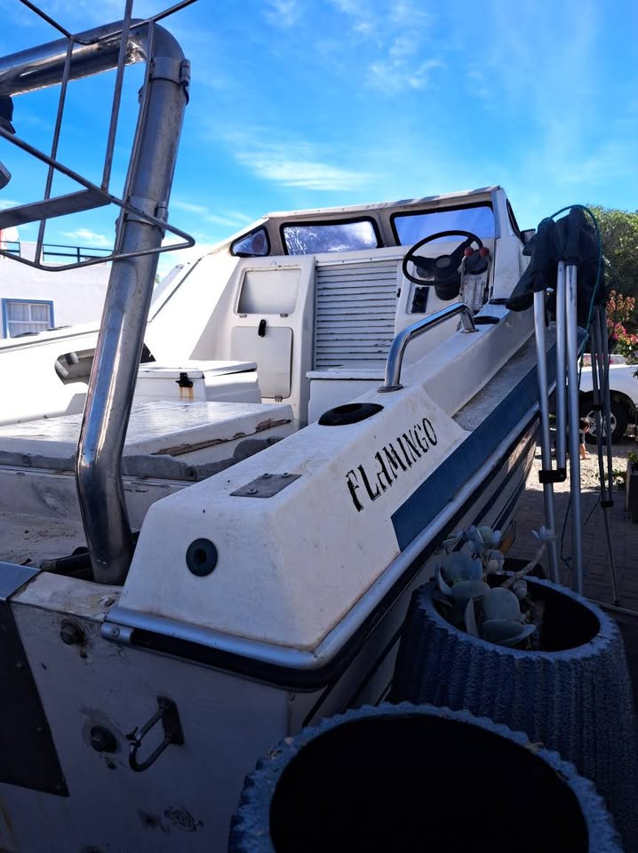 "Flamingo 5.4m Boat + 60HP Yamaha – Adventure-Ready Bargain, Needs a Little TLC"