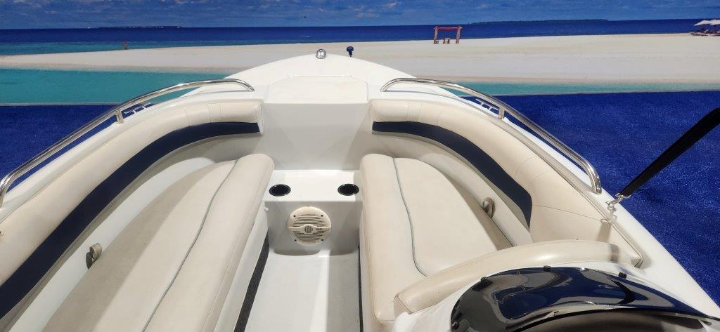 RAVEN EXCALDO 17 FT ON TRAILER 115 HP MERCURY OPTIMAX 2012 MODEL