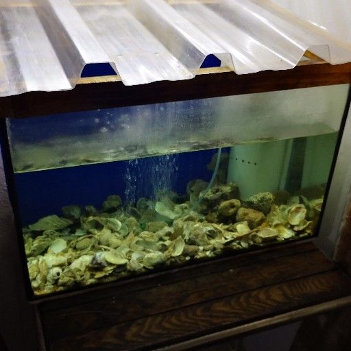 Aquarium Bird Cage Pusat Hobi