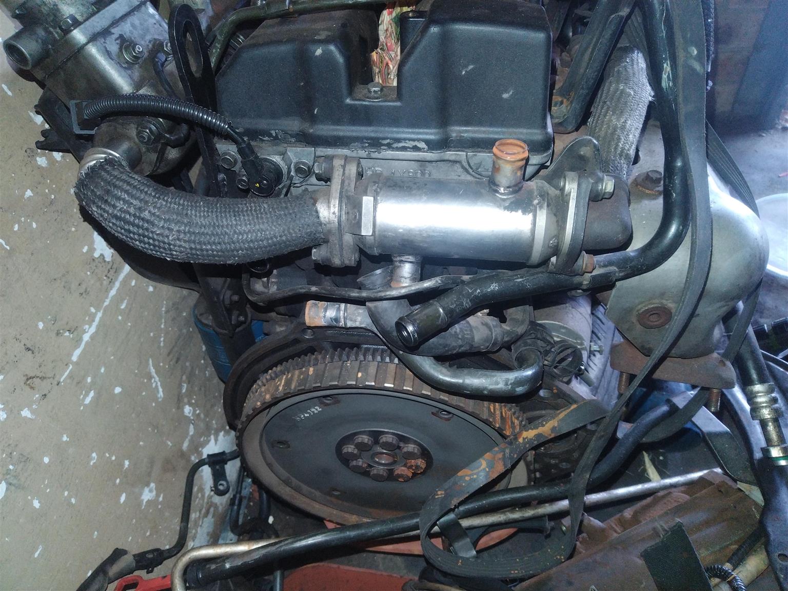 Preloaded Image 3