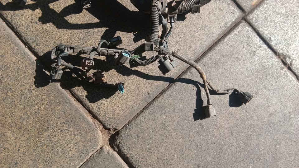 Honda jazz Engine loom wiring 2005-07 L15A - Private Seller Honda jazz Engine loom wiring 2005-07 L15A - Private Seller