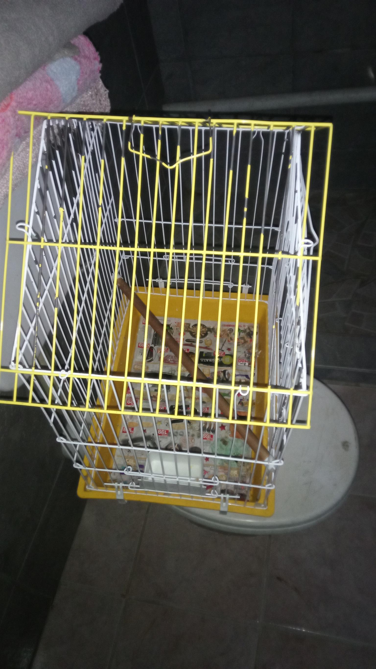 Bird cage yellow for cockatiel