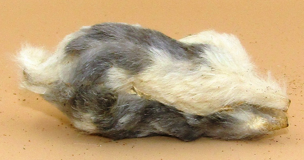 Handmade Toy Rabbit - wood & pelt