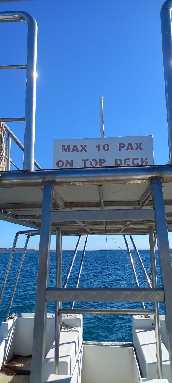 41.5Ft Hysucat
