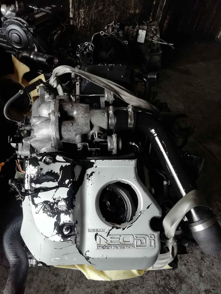 Nissan hardbody zd30 - Private Seller Nissan hardbody zd30 - Private Seller