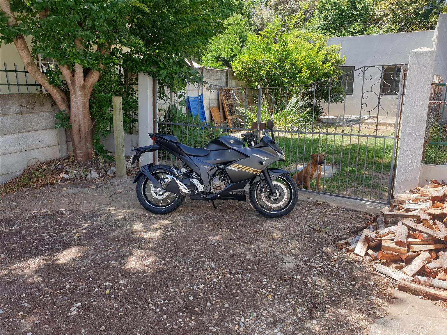 FOR SALE: 2023 Suzuki Gixxer 250cc – Immaculate Condition - Private Seller