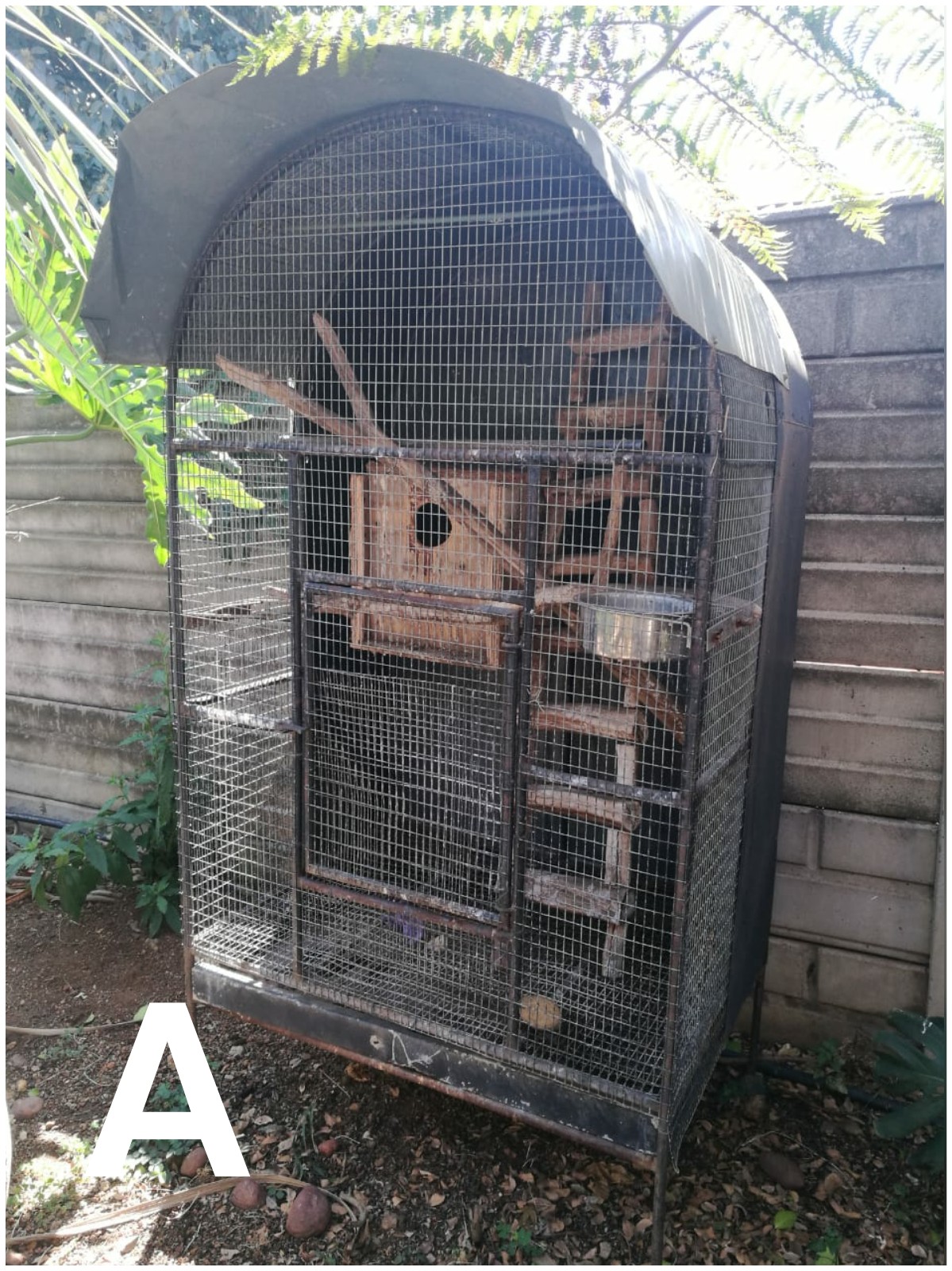 canary cages for sale