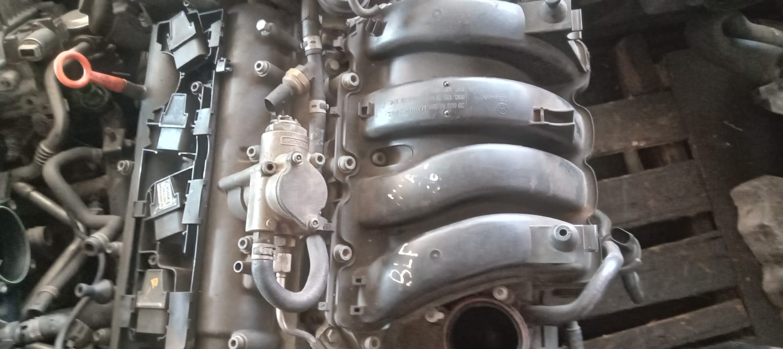 GOLF 5 1.6 BLP ENGINE FOR SALE - Private Seller GOLF 5 1.6 BLP ENGINE FOR SALE - Private Seller