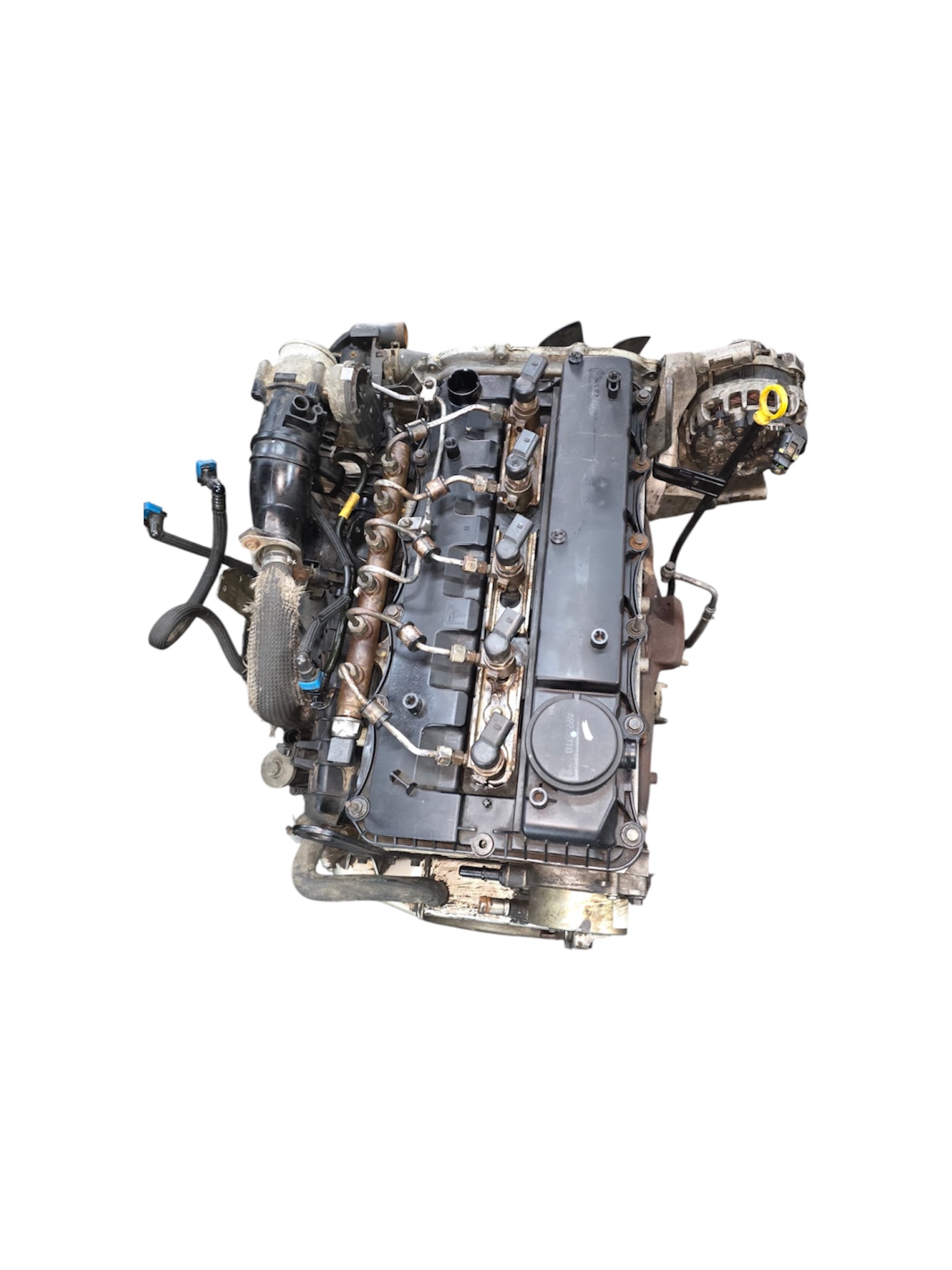 Ford Ranger 3.2 Engine - Private Seller