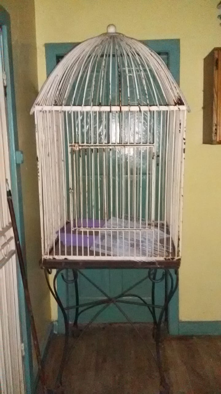 Outdoor Parrot Cage