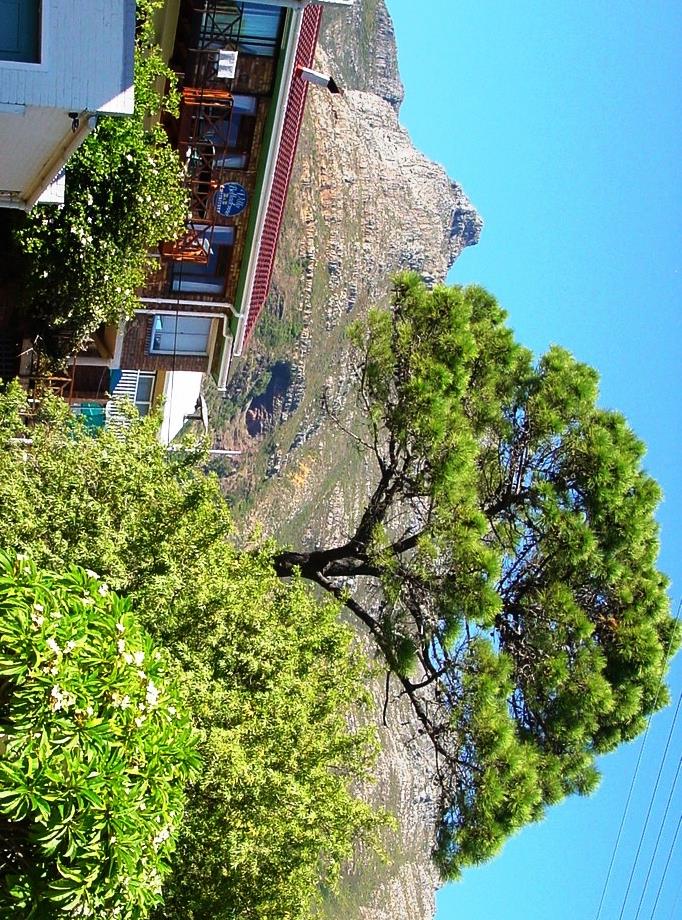 Room or flat  furnish Vredehoek walking distance to Cape Town centre