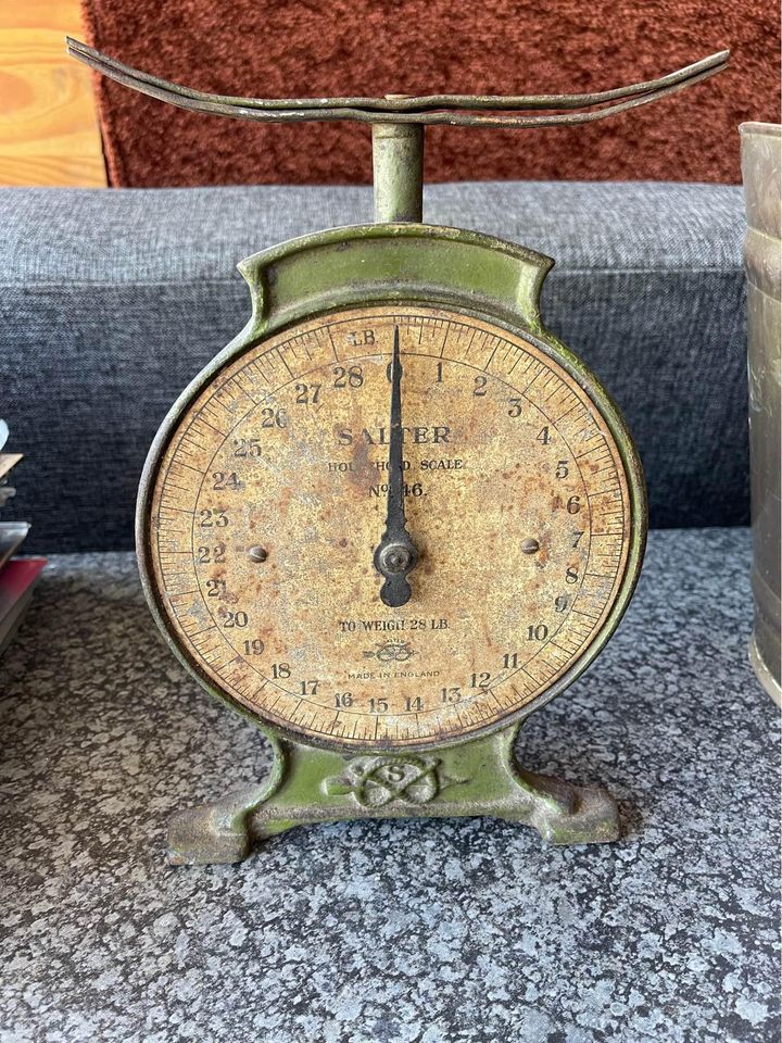 Salter pound scale