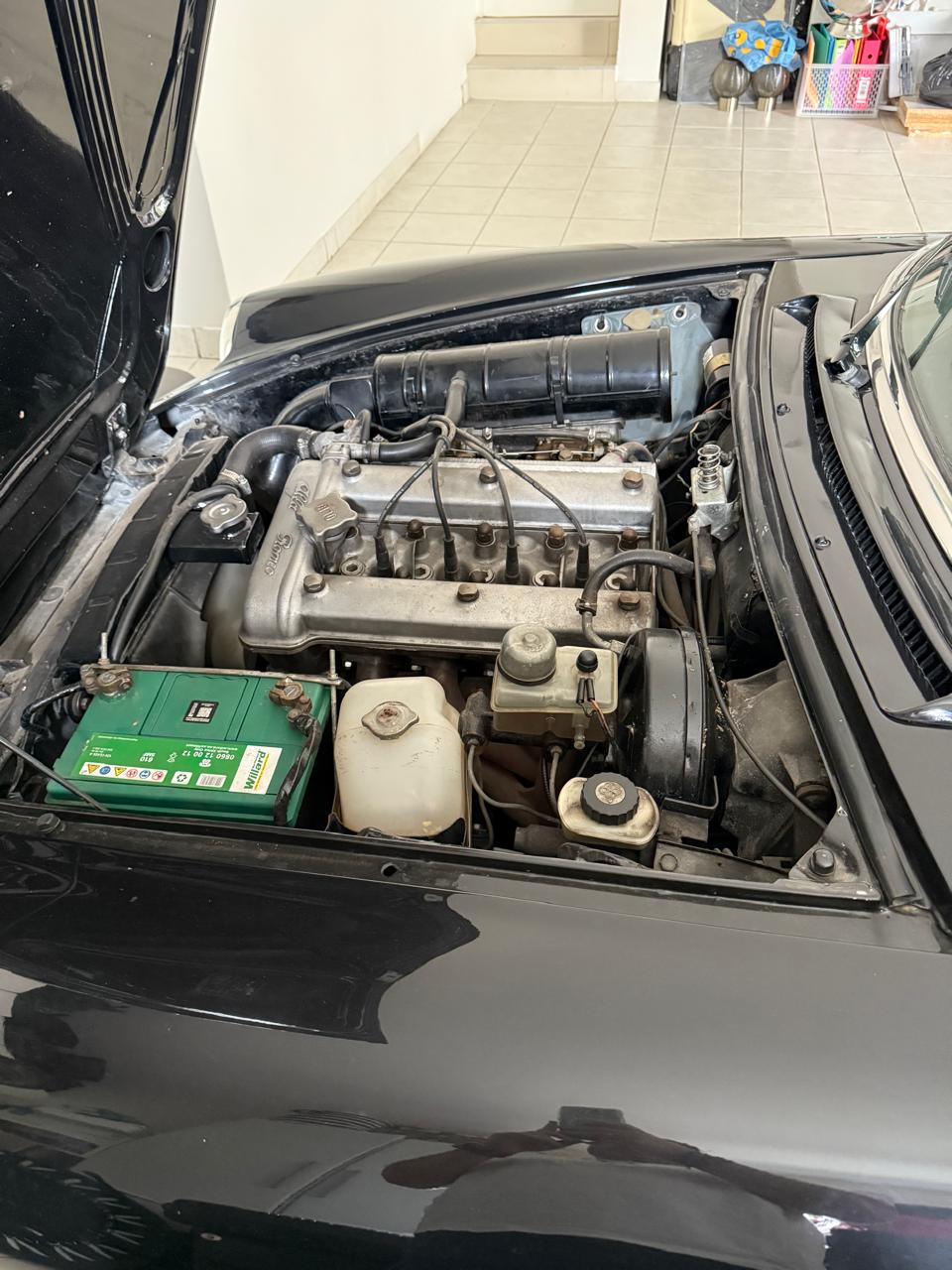Alfa Romeo Spider LHD