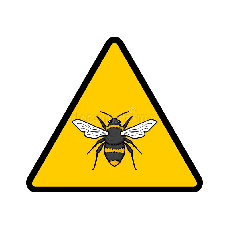 BEE REMOVALS AND RELOCATIONS