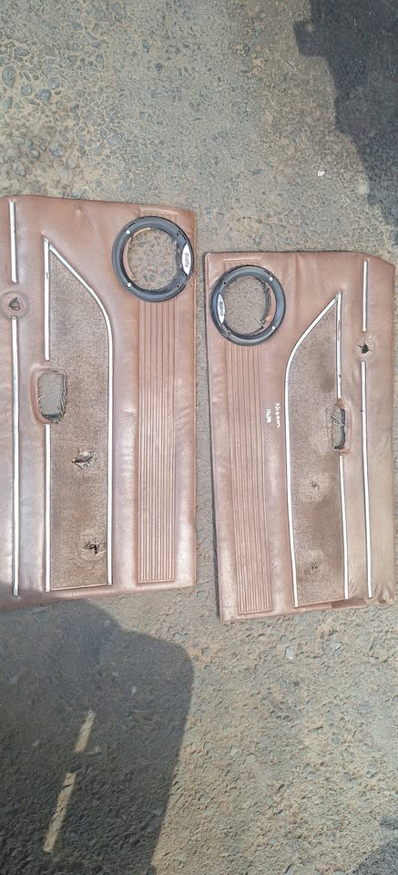 Nissan 1400 bakkie door pannels available - Private Seller