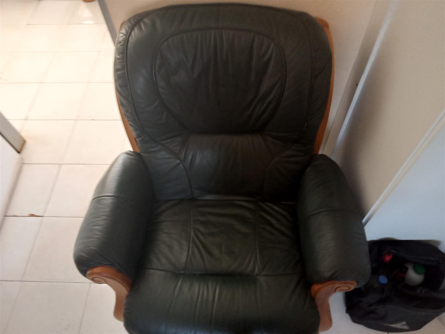 Black Grafton Everest 321 leather couches and Green 321 leather couches