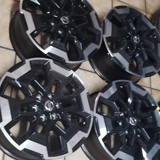 Navarra MAG RIMS