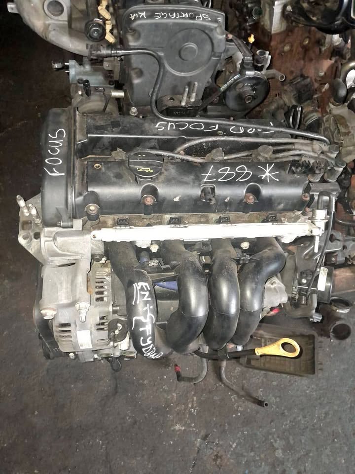Ford Focus 1.6 FYDB Engine Available - Private Seller Ford Focus 1.6 FYDB Engine Available - Private Seller