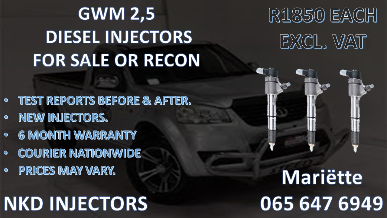 Tested Injectors for Diesel Vehicles GWM 2.5 - Private Seller Tested Injectors for Diesel Vehicles GWM 2.5 - Private Seller