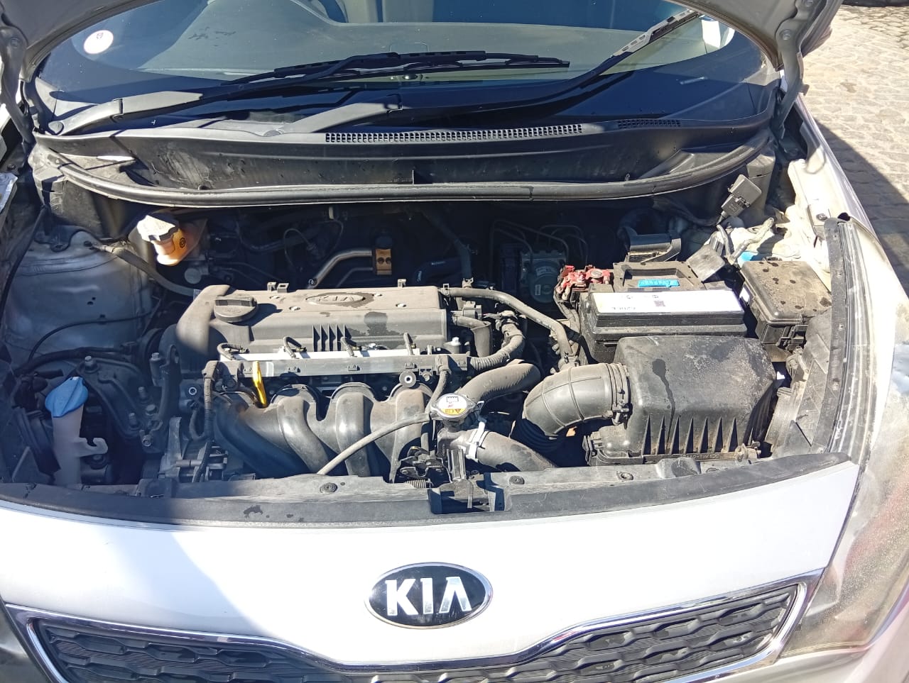 KIA RIO CHEAP