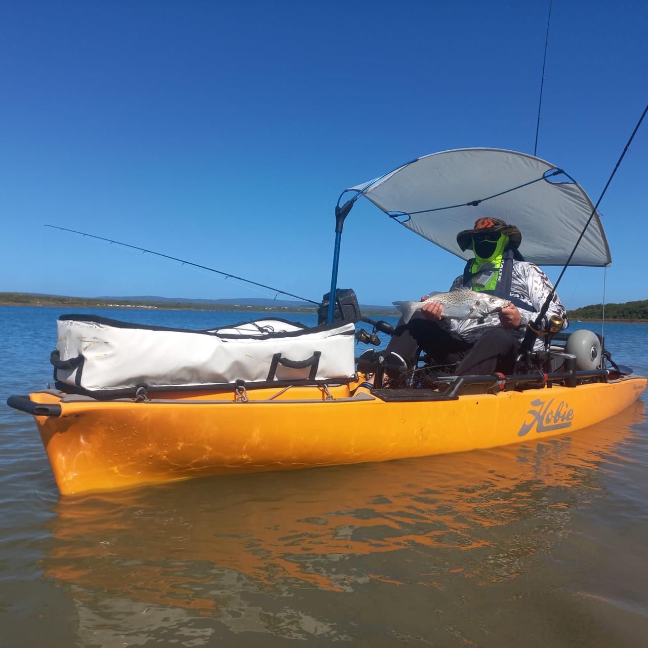 Hobie Kayak and trailer Hobie Kayak and trailer