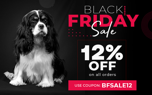 The Best Cat's Collar on Black Friday SALES NOW in South Africa!			
