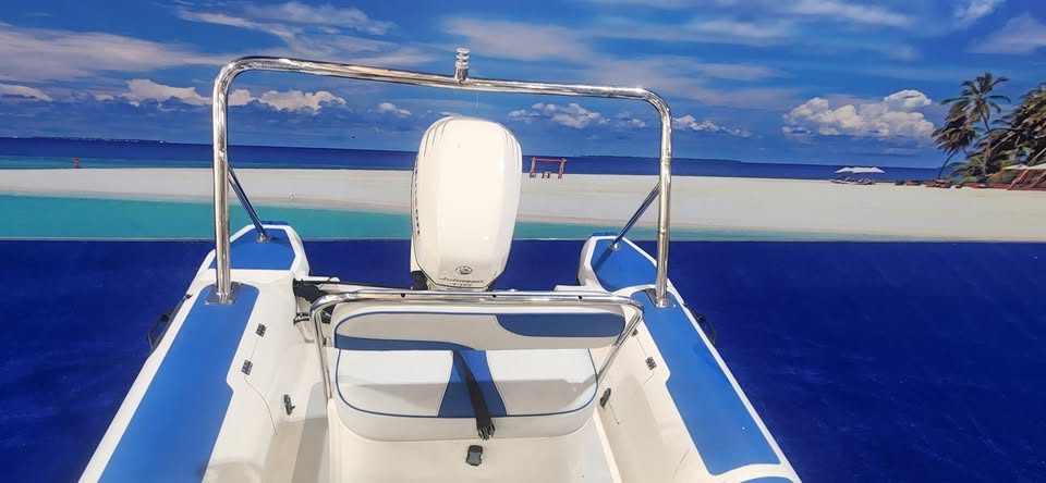 2010 UNIQUE 540 RTB