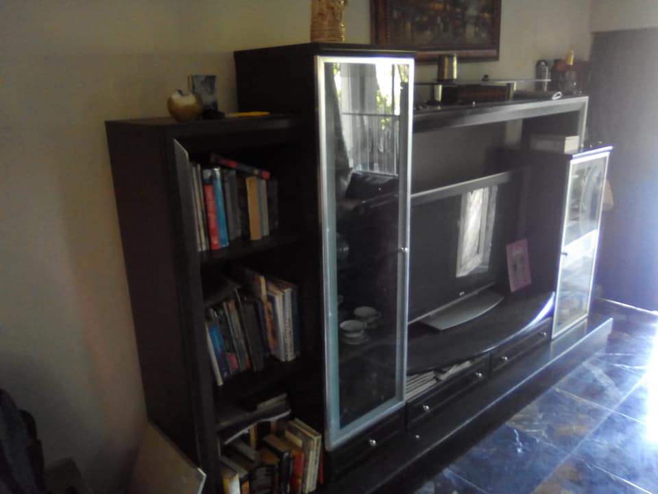 Modern Wall Unit
