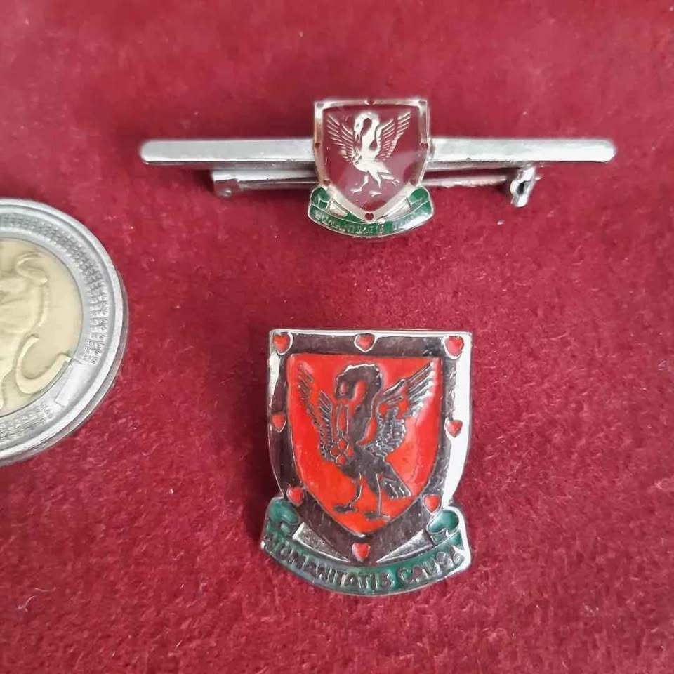 Duo Of Old Collectible Badges