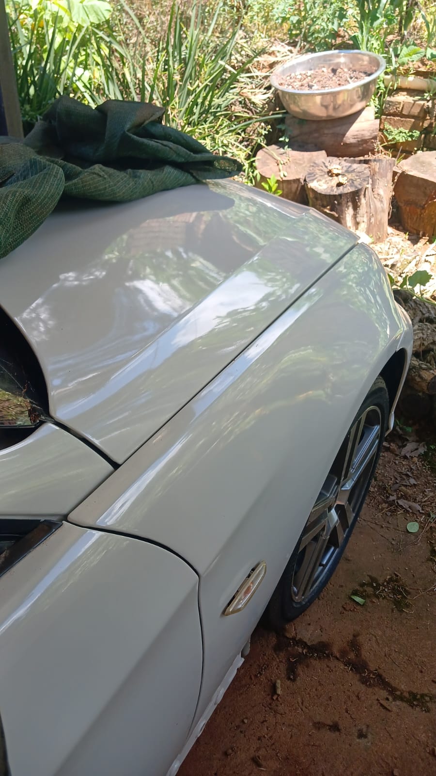 Bmw 320 I. Selling as parts or fixs it for your self - Private Seller Bmw 320 I. Selling as parts or fixs it for your self - Private Seller