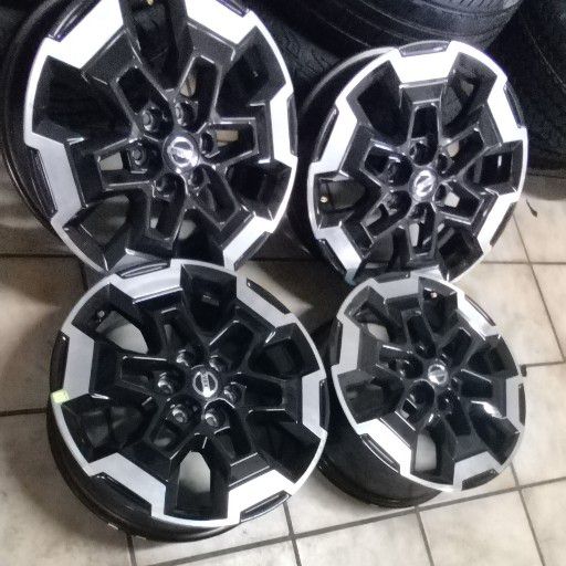 Navarra MAG RIMS