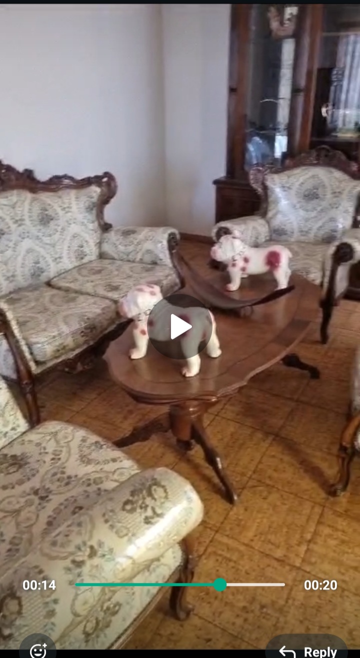 Pre-Loved Antique Couches for sale