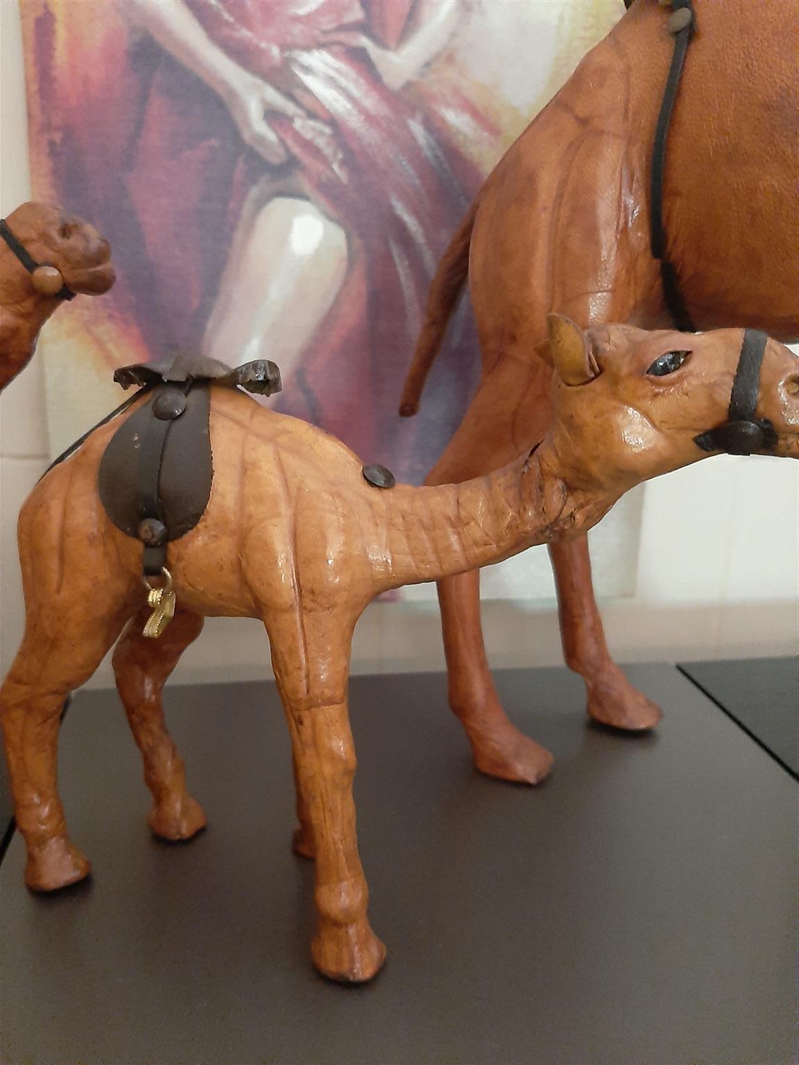 Camels - set of 3