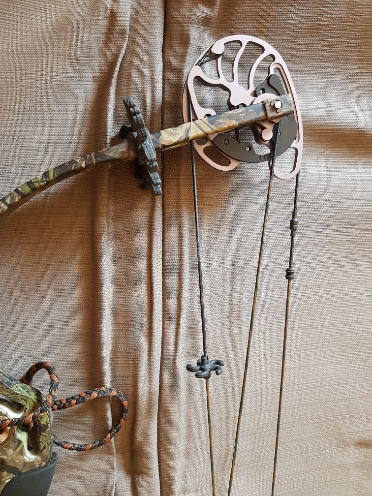 bowtech compound bow for sale Junk Mail