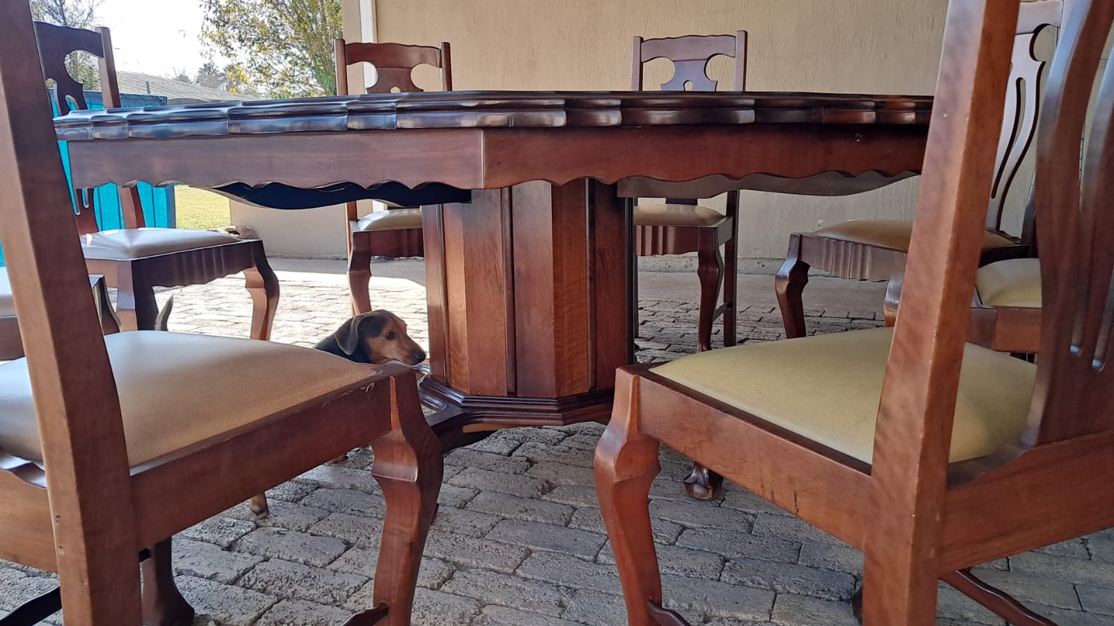 Antique dining room set
