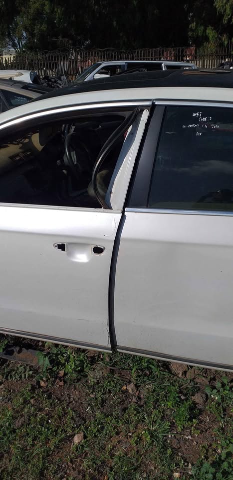 Vw Passat Stripping