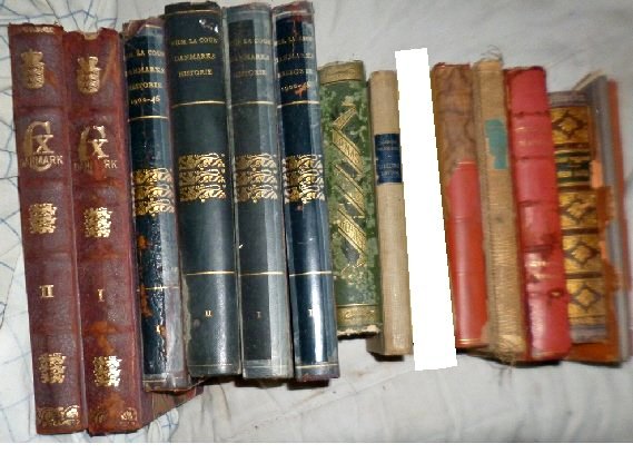 Antique Danish Books