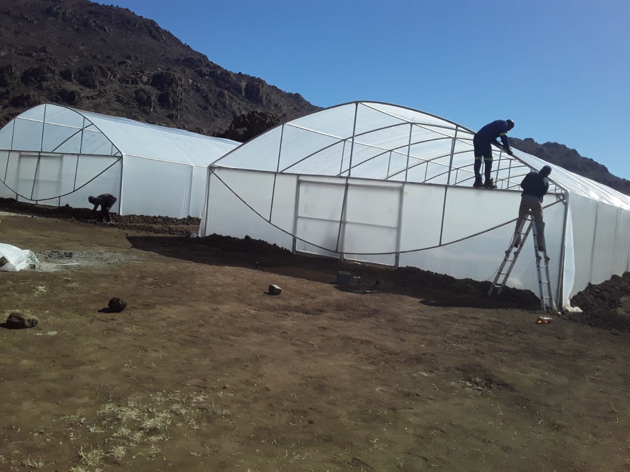 Greenhouses for sale