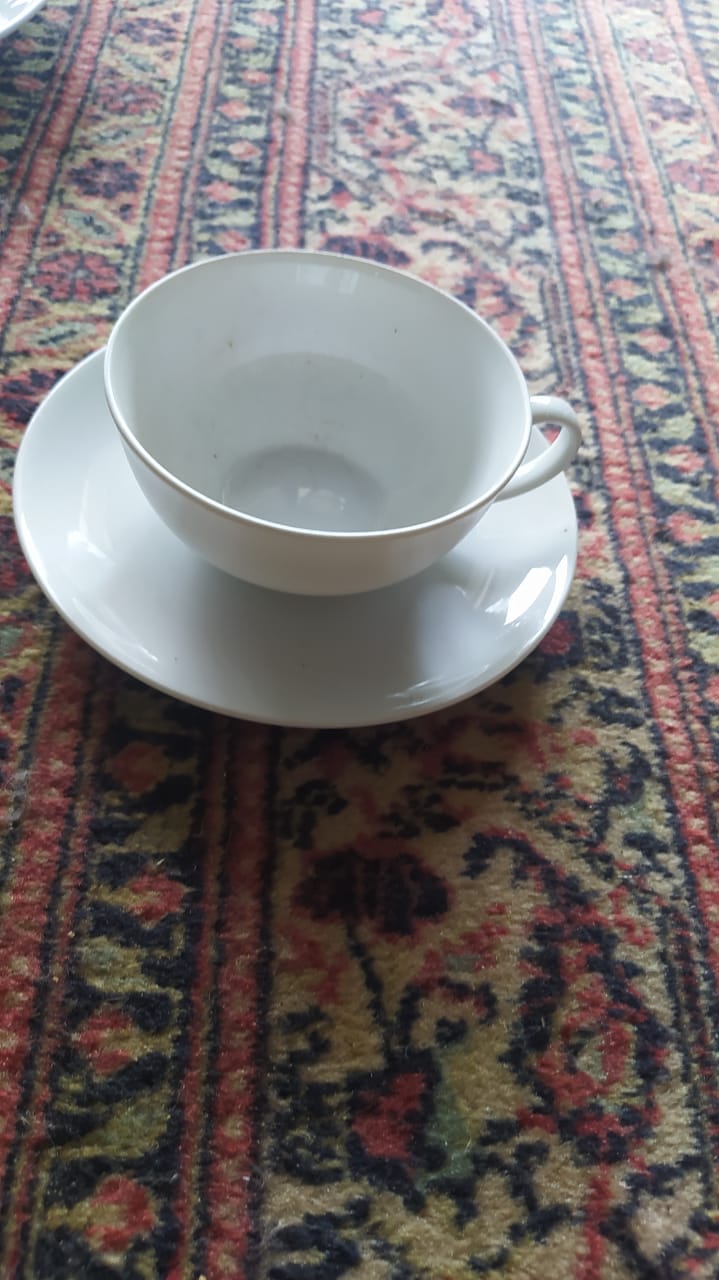 56 PIECE ARZBERG GERMANY CROCKERY SET